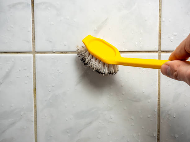 Best Black Mold Removal  in Exandria, AL