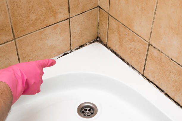 Best Certified Mold Removal  in Exandria, AL